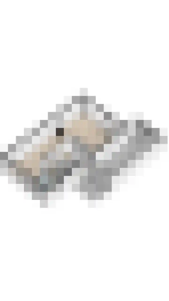 Haagwinde 22 Nieuwleusen thumbnail 51