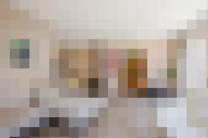 Haagwinde 22 Nieuwleusen thumbnail 9