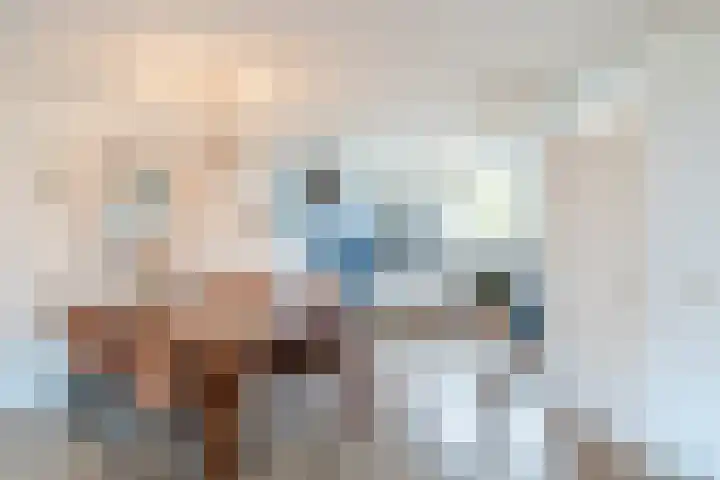 Haagwinde 24 Oudkarspel thumbnail 14