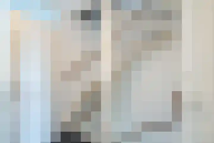 Haagwinde 24 Oudkarspel thumbnail 18