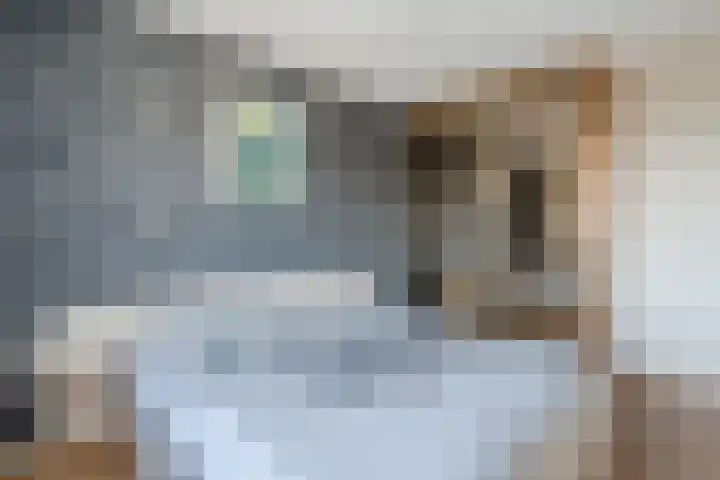 Haagwinde 24 Oudkarspel thumbnail 21