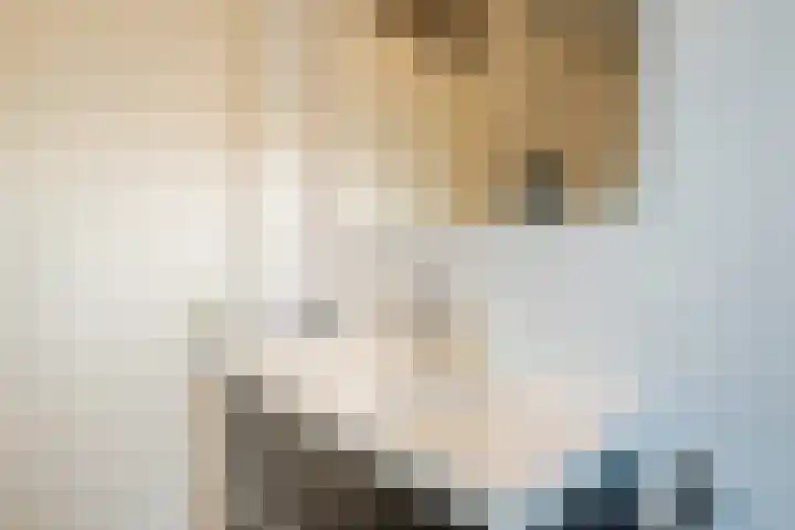 Haagwinde 24 Oudkarspel thumbnail 25