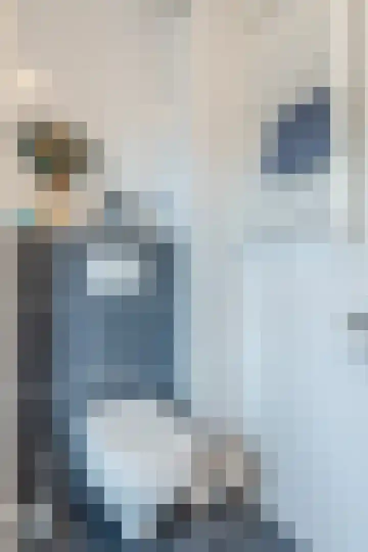 Haagwinde 24 Oudkarspel thumbnail 27