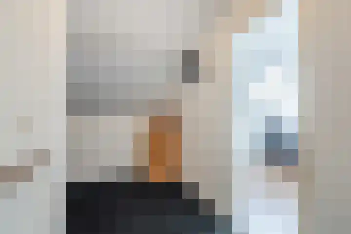 Haagwinde 24 Oudkarspel thumbnail 29