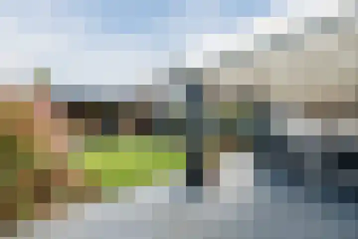 Haagwinde 24 Oudkarspel thumbnail 35