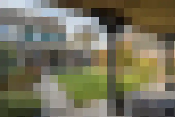 Haagwinde 24 Oudkarspel thumbnail 40