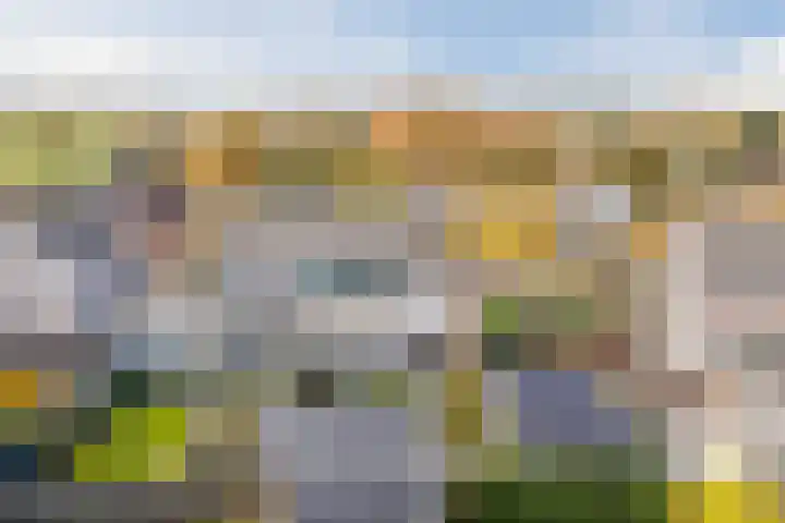 Haagwinde 24 Oudkarspel thumbnail 42
