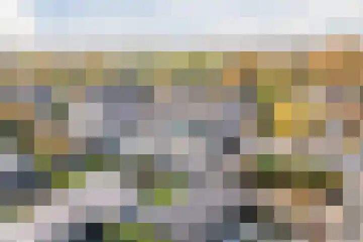 Haagwinde 24 Oudkarspel thumbnail 43