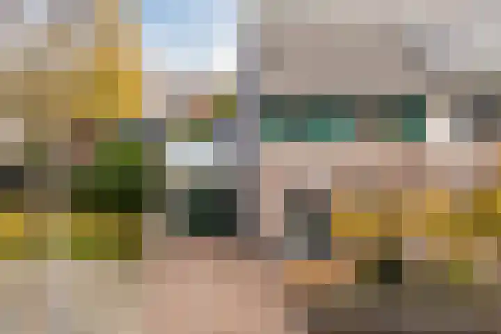 Haagwinde 24 Oudkarspel thumbnail 44
