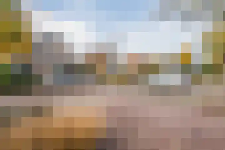 Haagwinde 24 Oudkarspel thumbnail 45