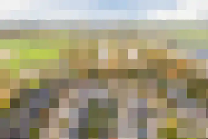 Haagwinde 24 Oudkarspel thumbnail 46