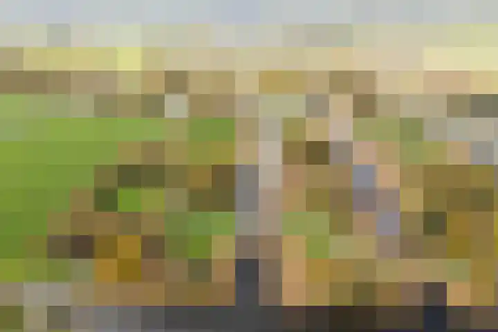 Haagwinde 24 Oudkarspel thumbnail 47