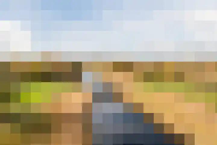 Haagwinde 24 Oudkarspel thumbnail 48