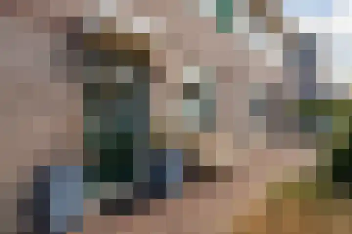 Haagwinde 24 Oudkarspel thumbnail 6
