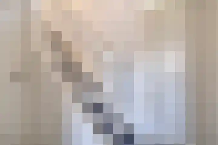 Haagwinde 3 Puttershoek thumbnail 17