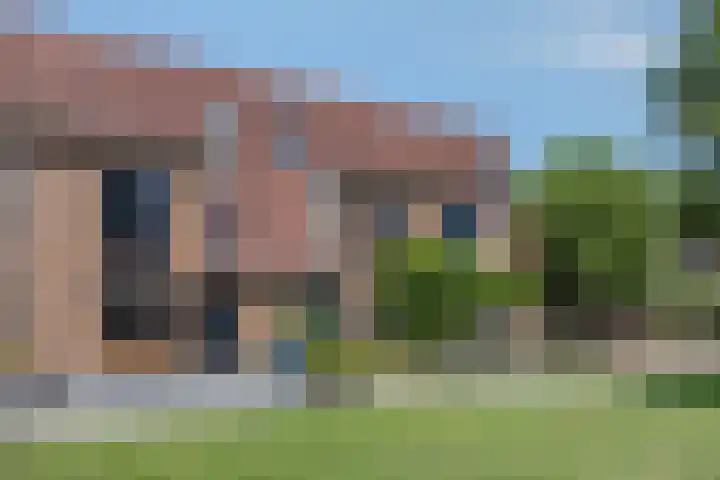 Haagwinde 3 Puttershoek thumbnail 23