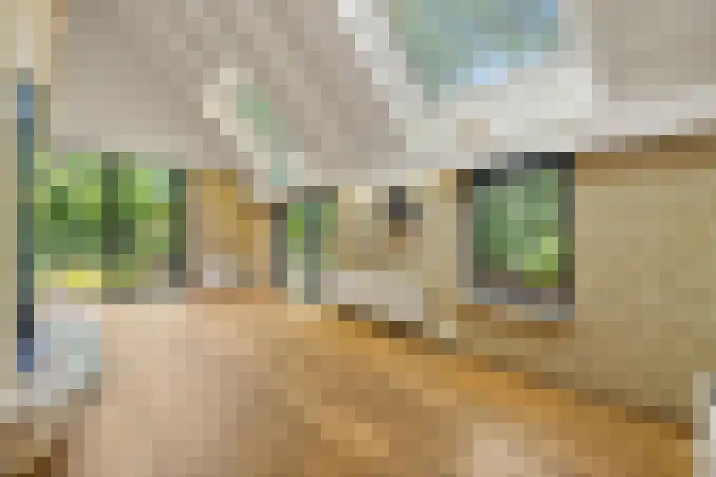 Haagwinde 31 Capelle aan den IJssel thumbnail 23
