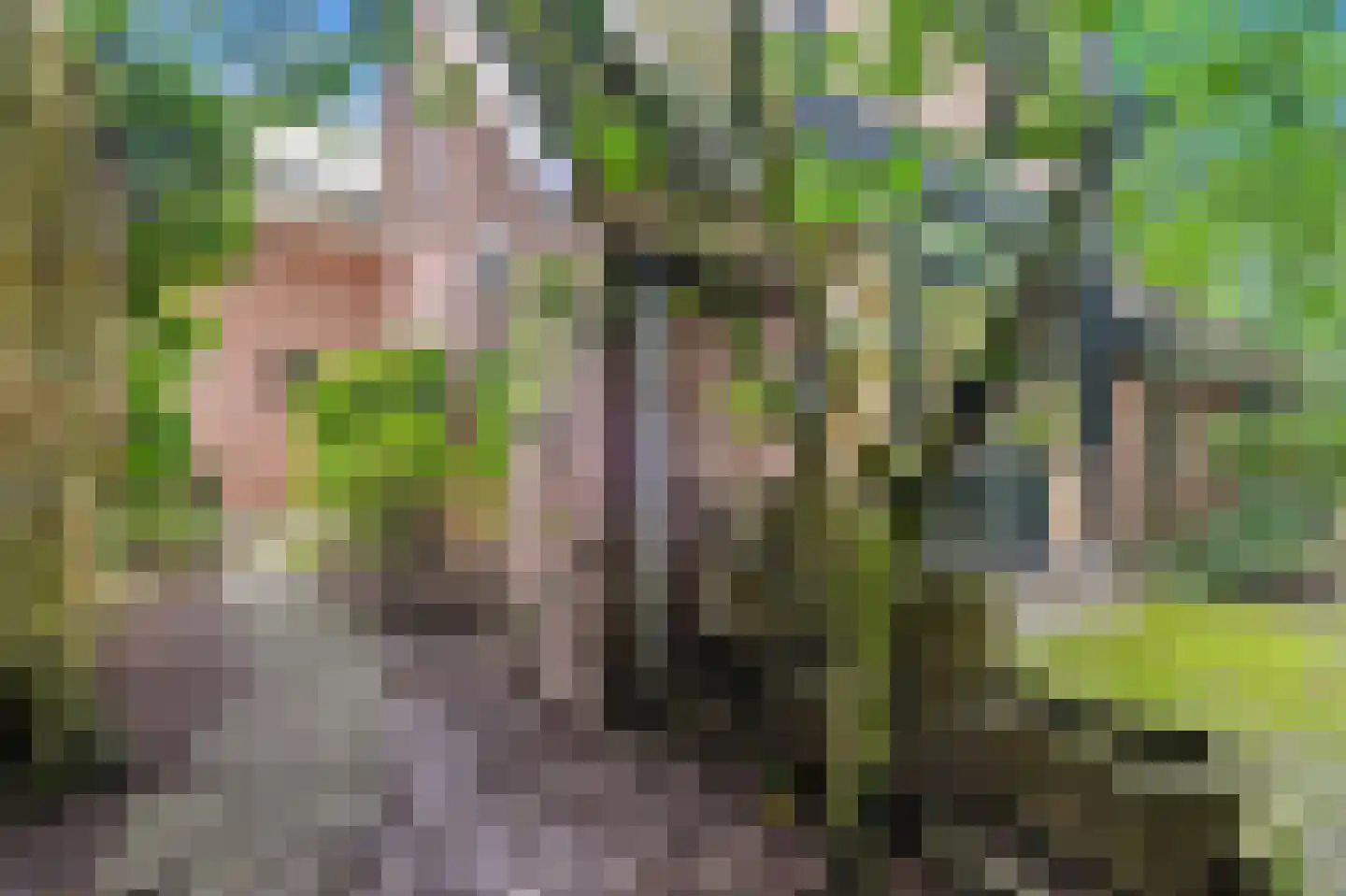 Haagwinde 31 Capelle aan den IJssel thumbnail 32