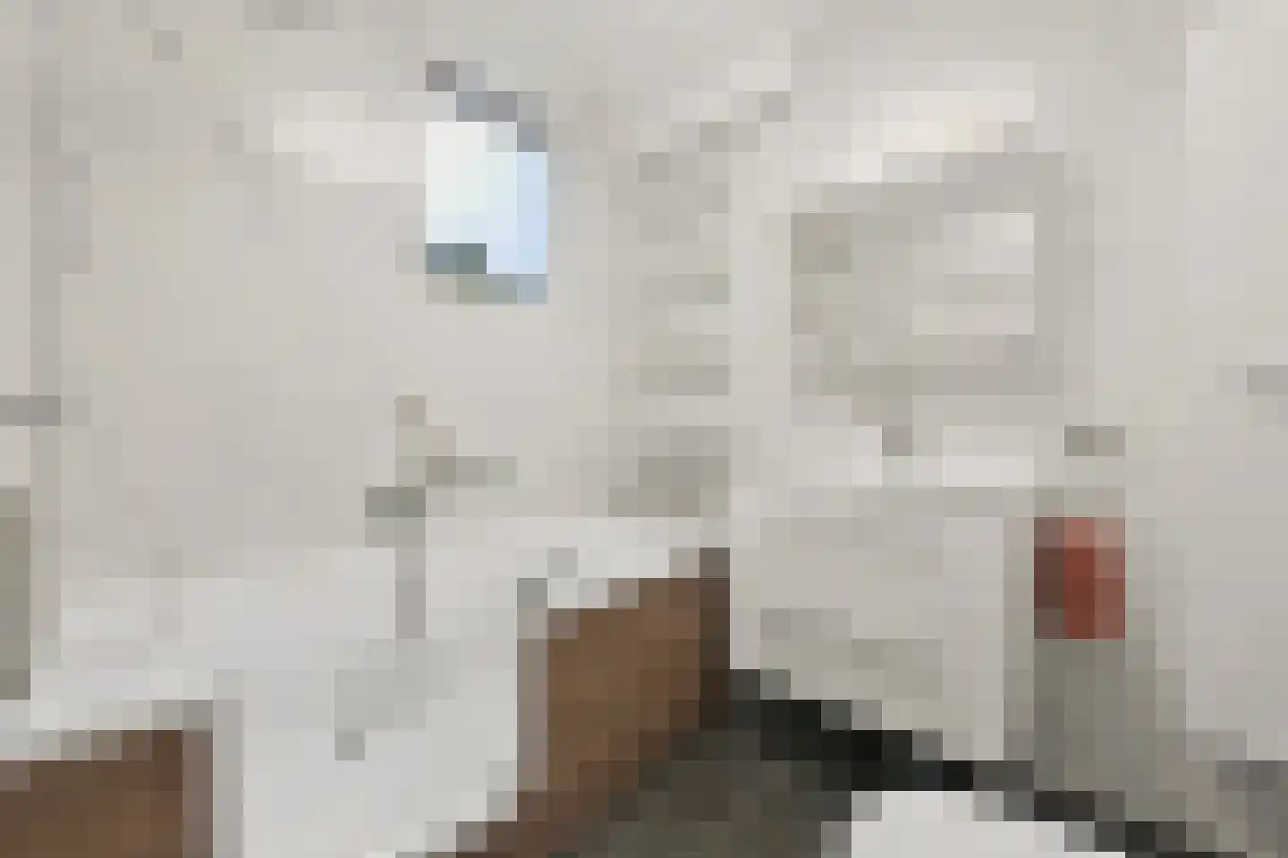 Haagwinde 31 Capelle aan den IJssel thumbnail 9