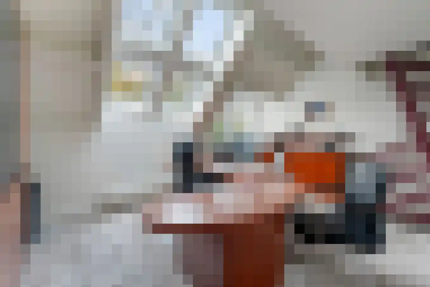 Haagwinde 34 Capelle aan den IJssel thumbnail 28