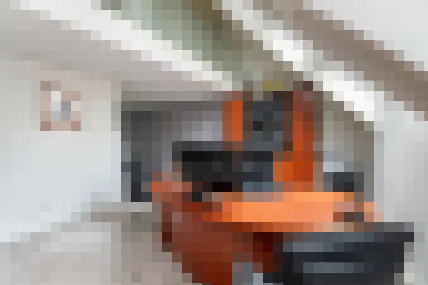 Haagwinde 34 Capelle aan den IJssel thumbnail 30