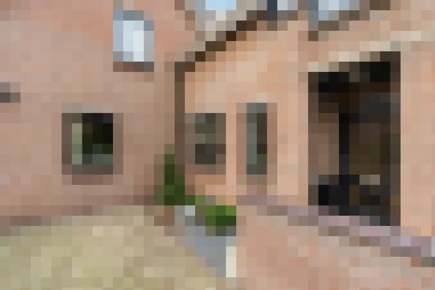 Haagwinde 34 Capelle aan den IJssel thumbnail 42