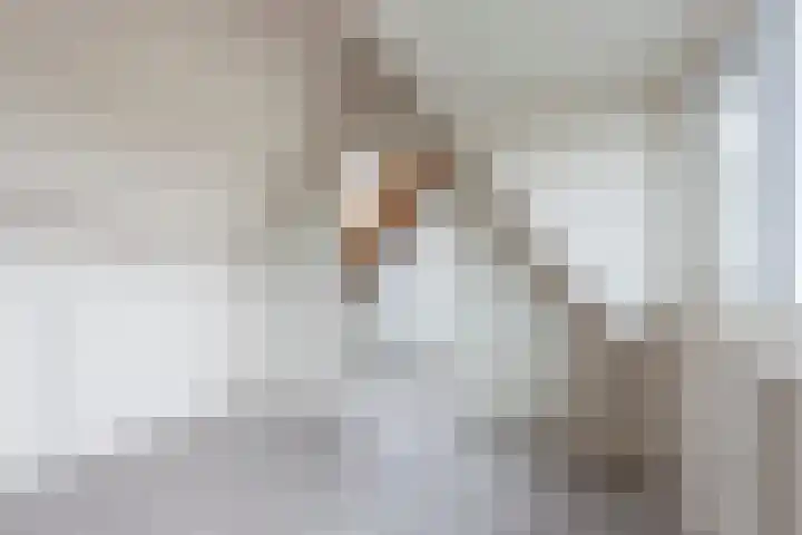 Haagwinde 34 Eemnes thumbnail 31