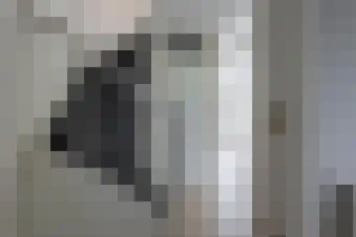 Haagwinde 34 Eemnes thumbnail 5