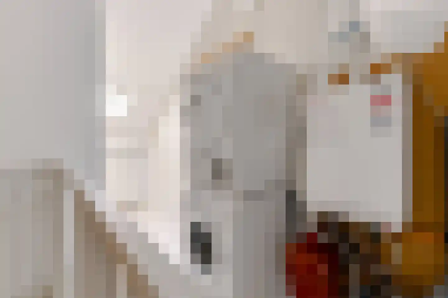 Haagwinde 37 Nijverdal thumbnail 15