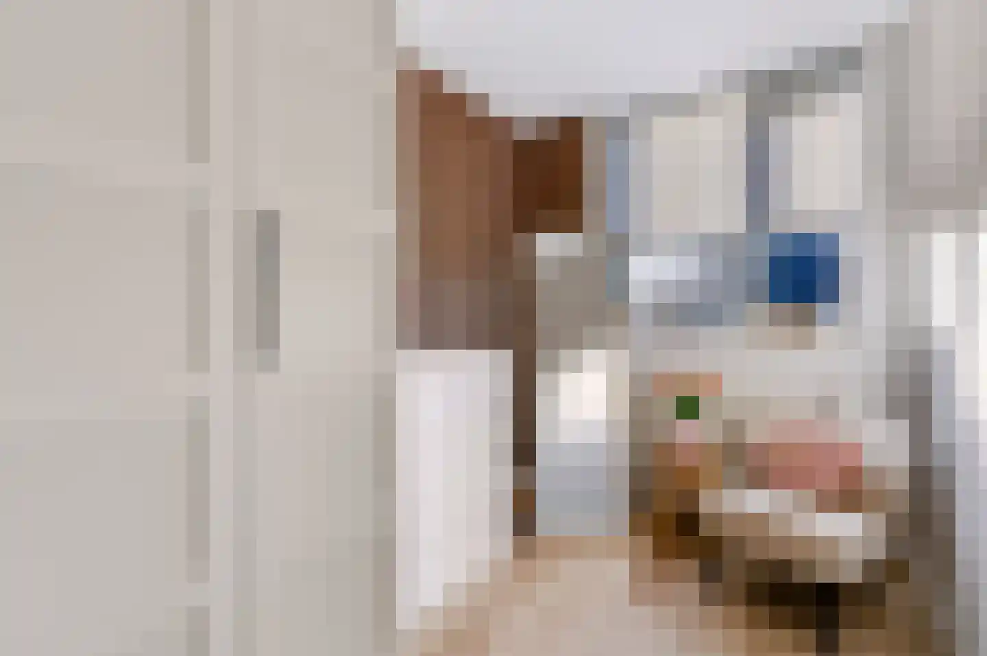 Haagwinde 37 Nijverdal thumbnail 18