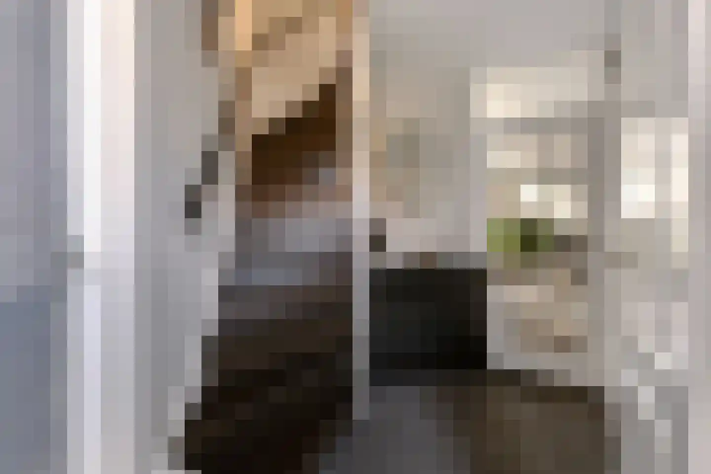 Haagwinde 37 Nijverdal thumbnail 21