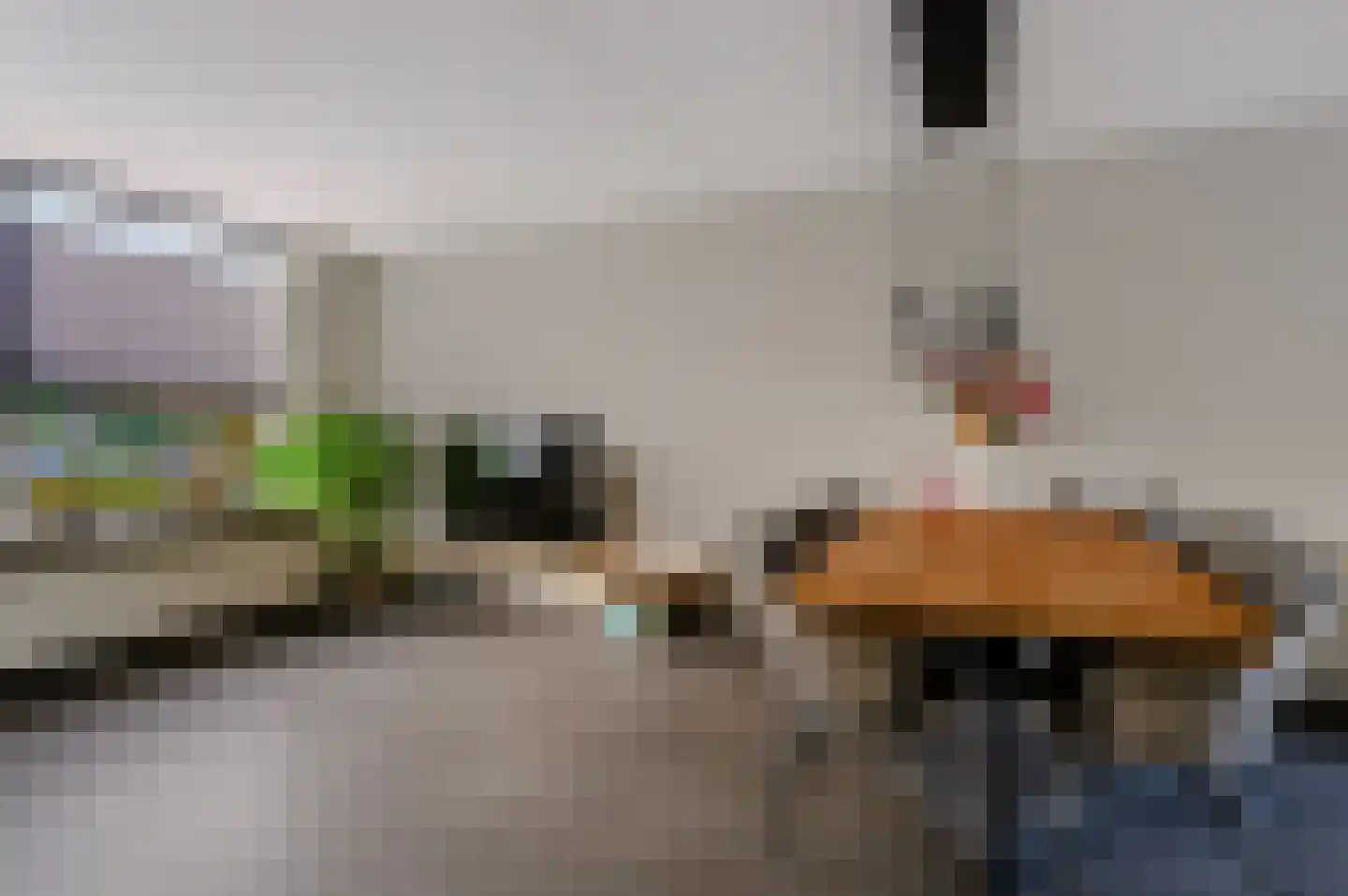 Haagwinde 37 Nijverdal thumbnail 24