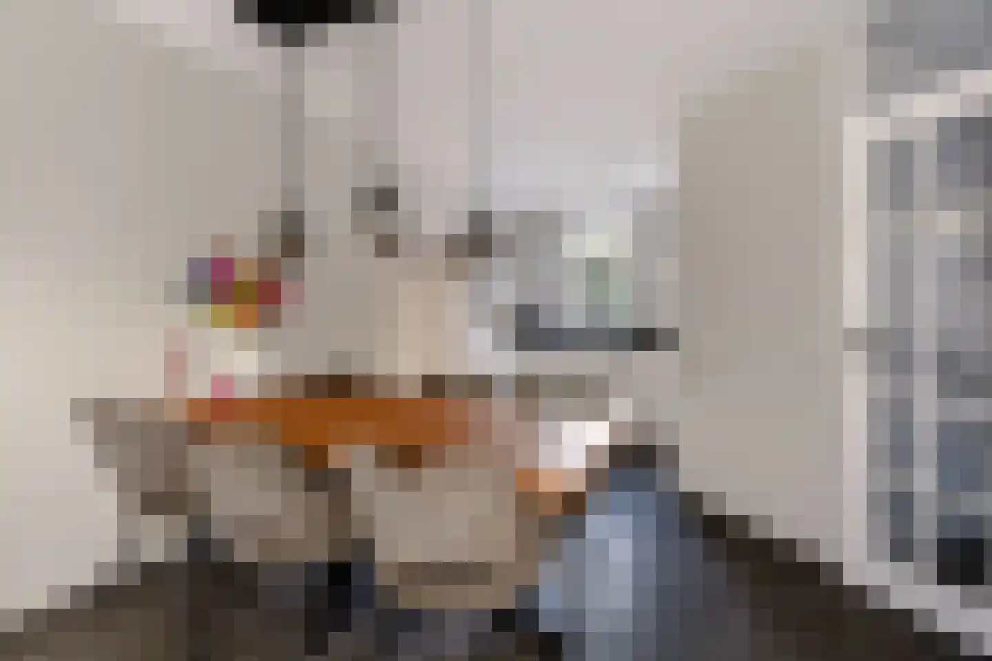 Haagwinde 37 Nijverdal thumbnail 6