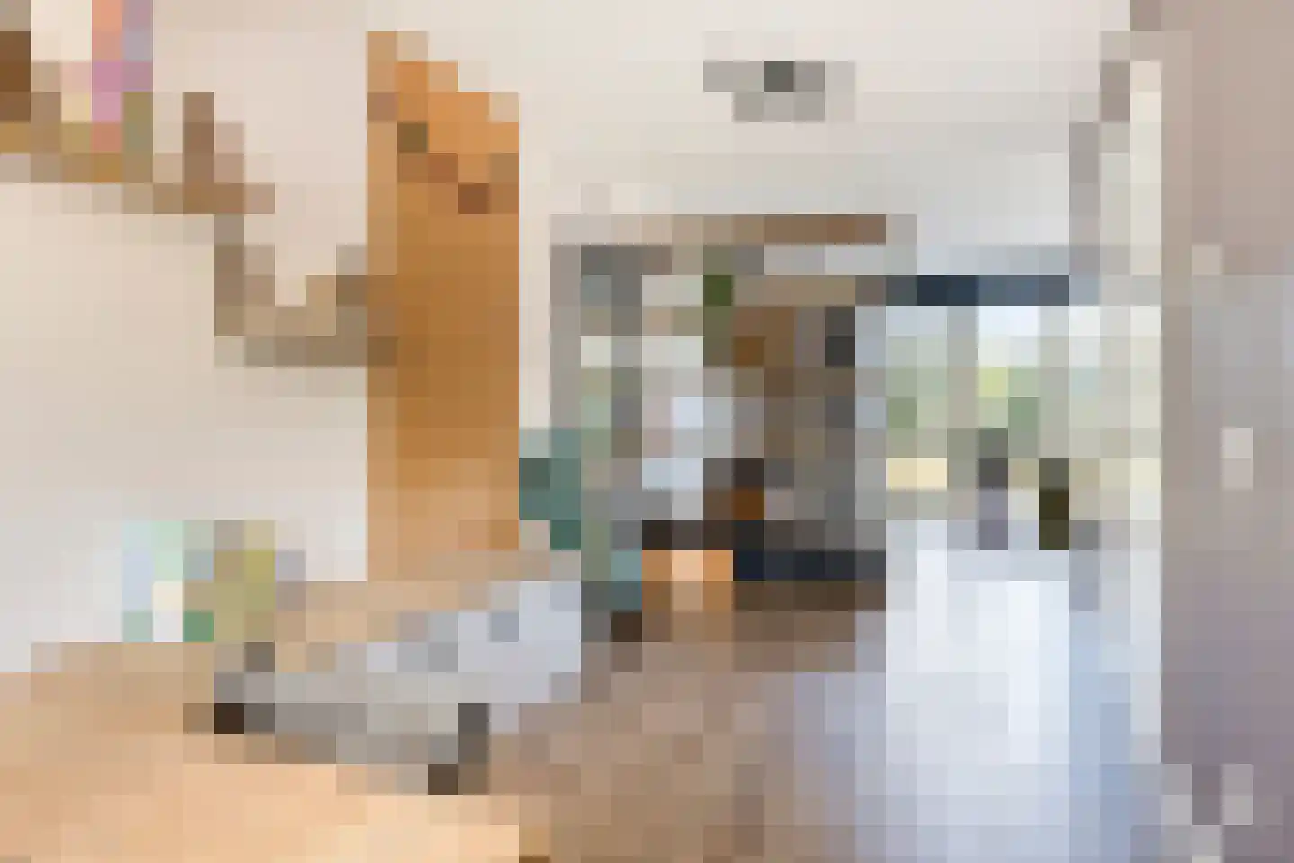 Haagwinde 4 Dongen thumbnail 13