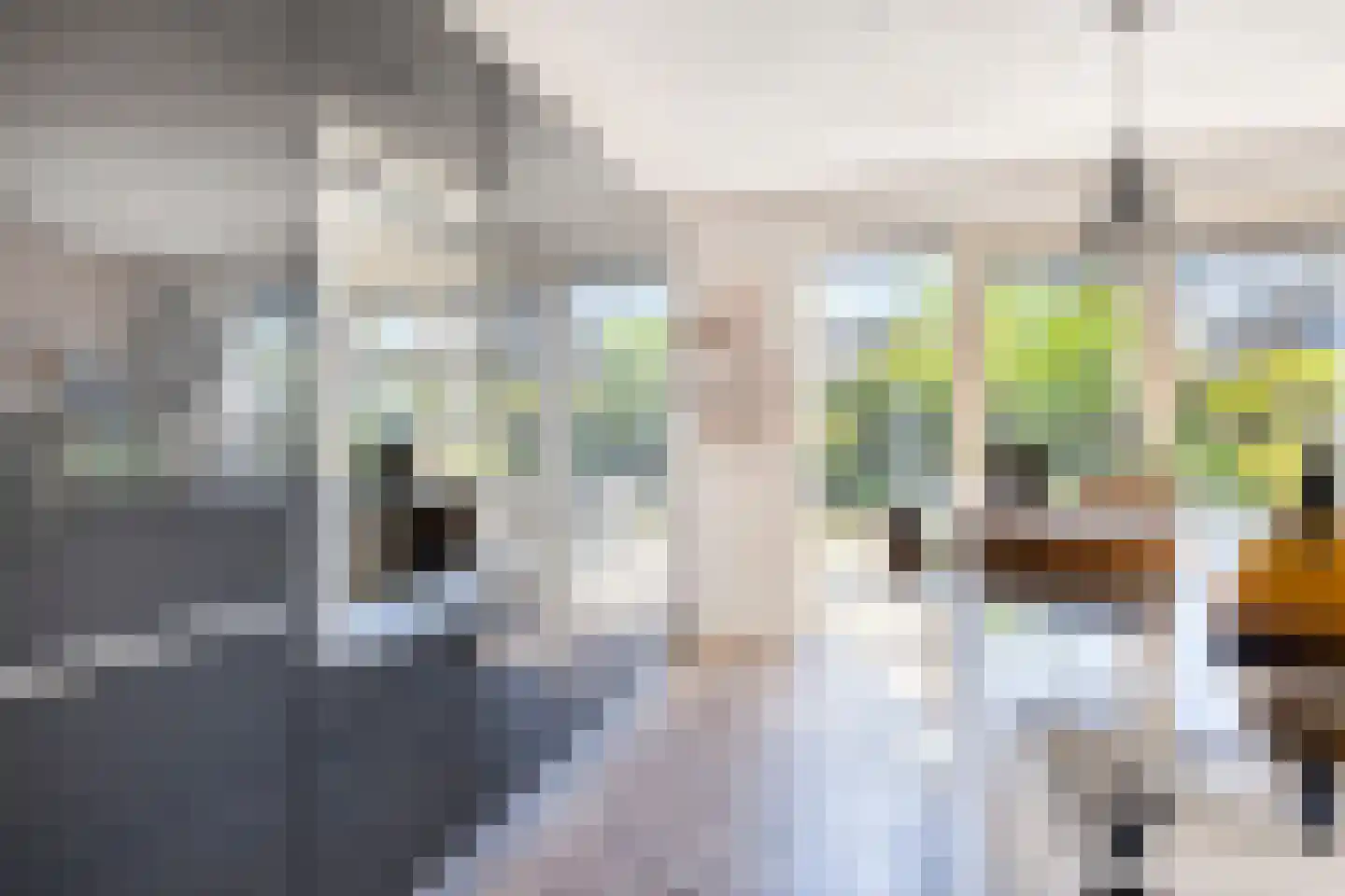 Haagwinde 4 Dongen thumbnail 15