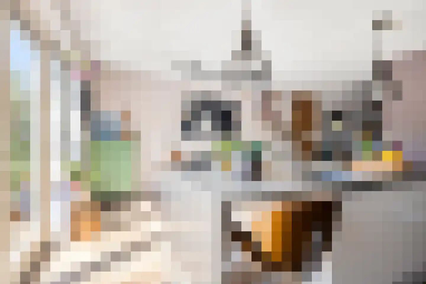 Haagwinde 4 Dongen thumbnail 17