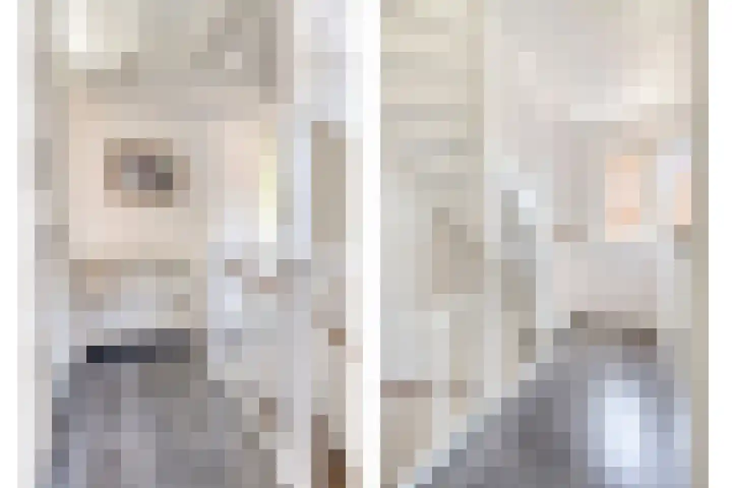 Haagwinde 4 Dongen thumbnail 18