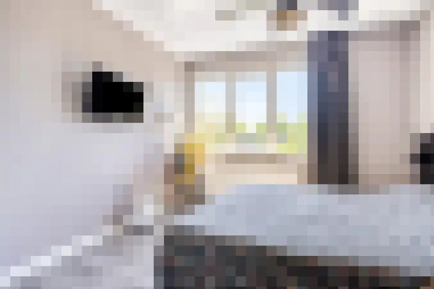 Haagwinde 4 Dongen thumbnail 19
