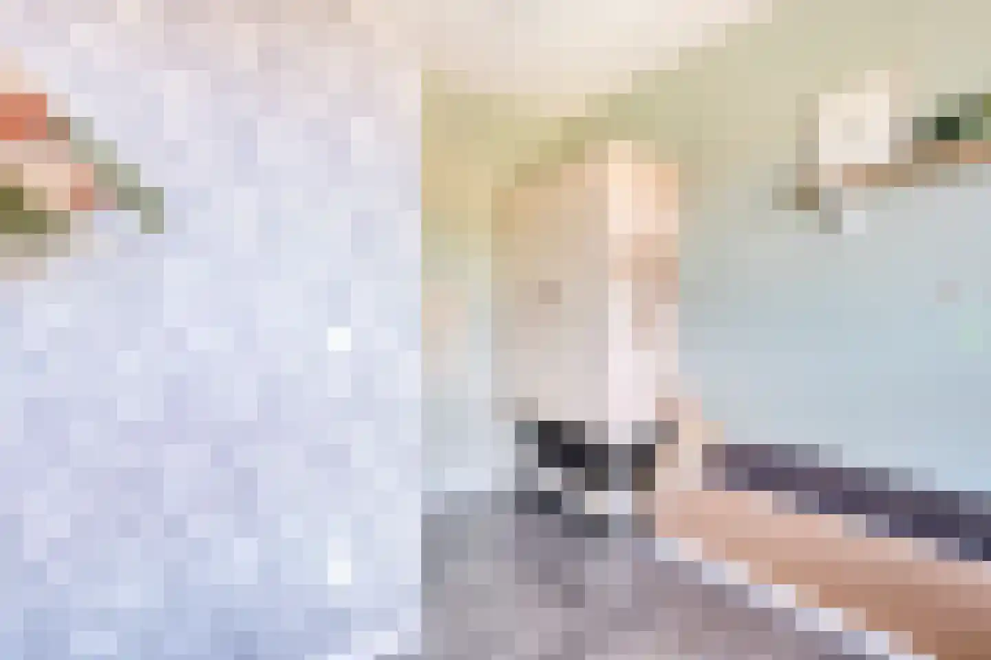 Haagwinde 4 Dongen thumbnail 24