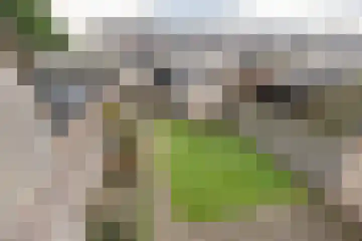 Haagwinde 40 Eemnes thumbnail 17