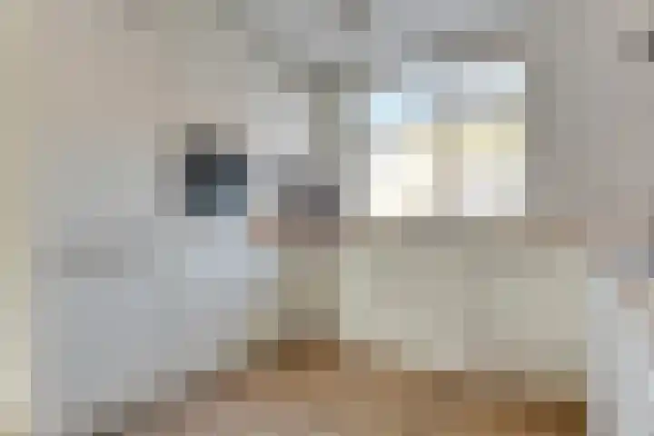 Haagwinde 40 Oudkarspel thumbnail 16