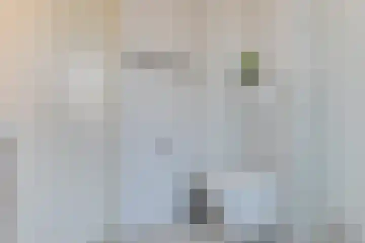 Haagwinde 40 Oudkarspel thumbnail 25