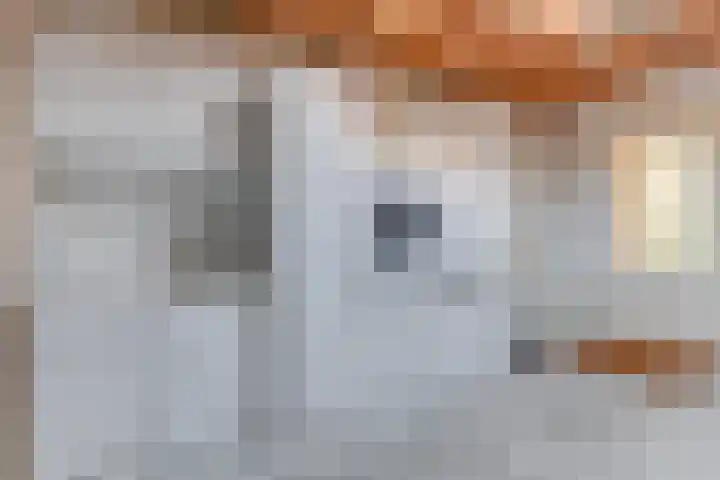 Haagwinde 40 Oudkarspel thumbnail 30