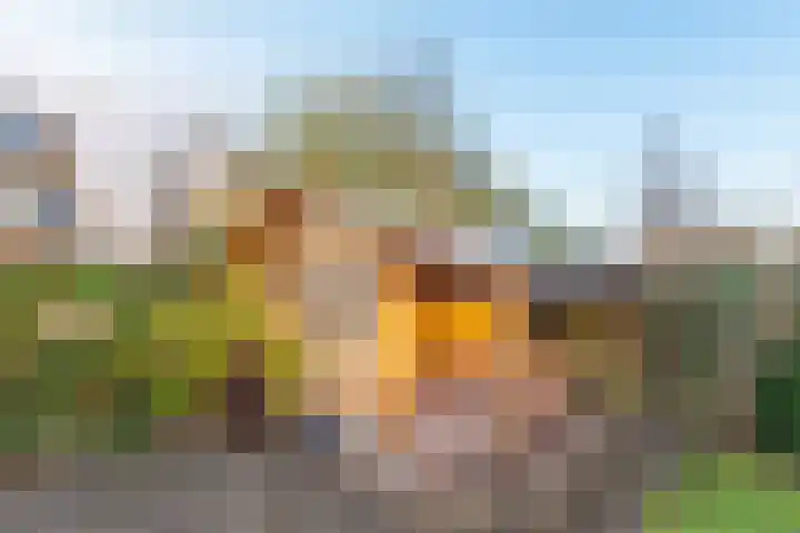 Haagwinde 40 Oudkarspel thumbnail 32
