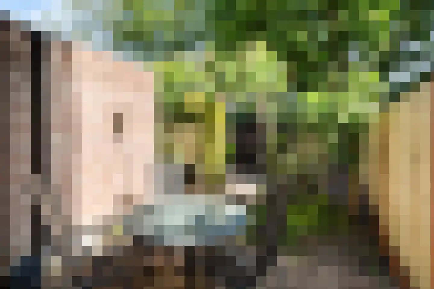 Haagwinde 41 Capelle aan den IJssel thumbnail 13