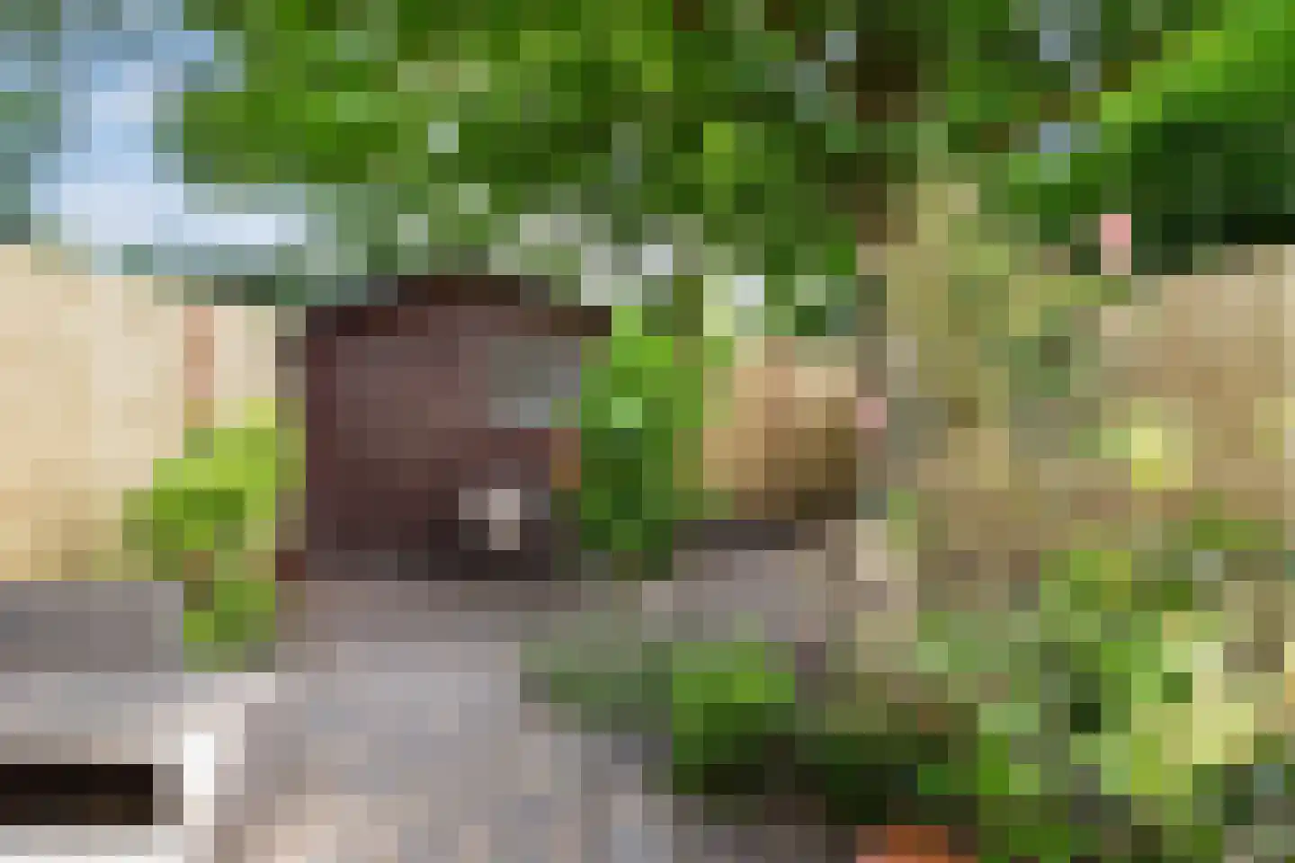 Haagwinde 41 Capelle aan den IJssel thumbnail 15