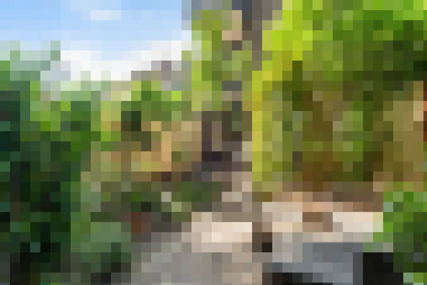 Haagwinde 41 Capelle aan den IJssel thumbnail 16