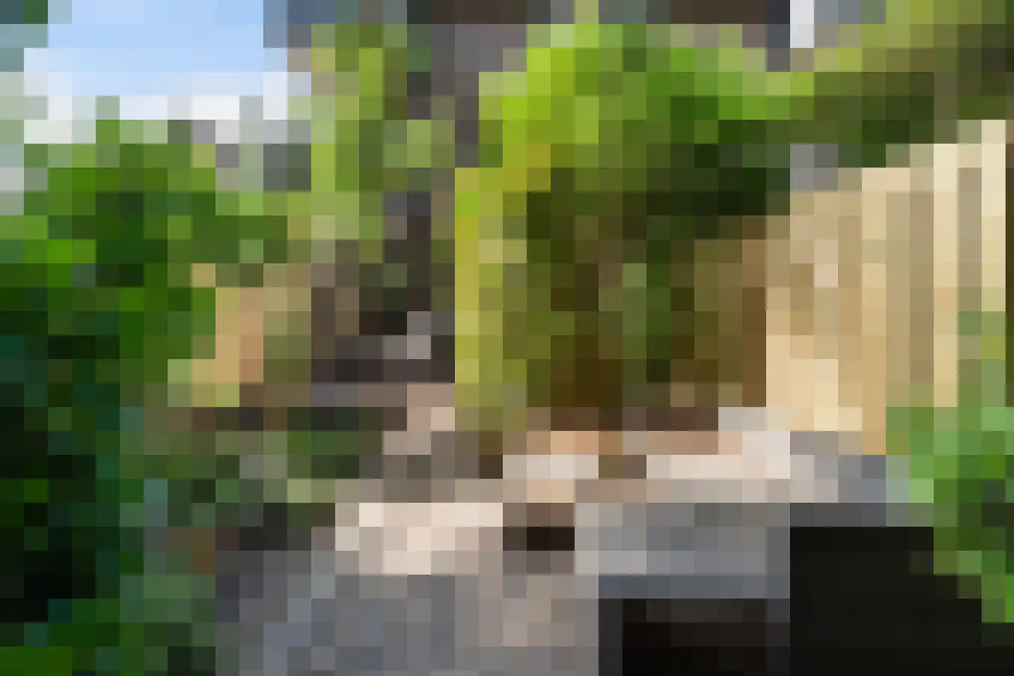 Haagwinde 41 Capelle aan den IJssel thumbnail 17
