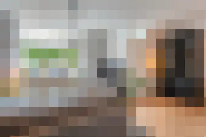 Haagwinde 41 Nijverdal thumbnail 10