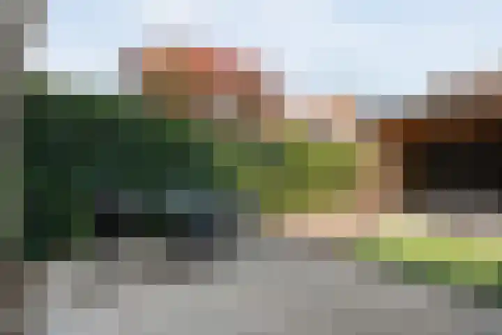 Haagwinde 41 Nijverdal thumbnail 32